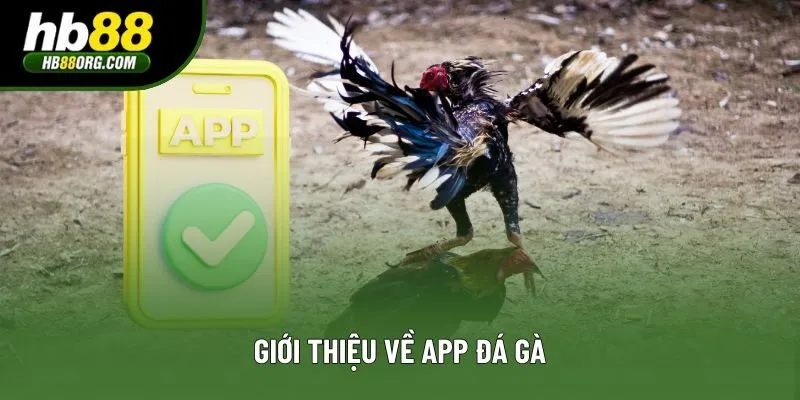 Giới thiệu về app đá gà Giới thiệu về app đá gà