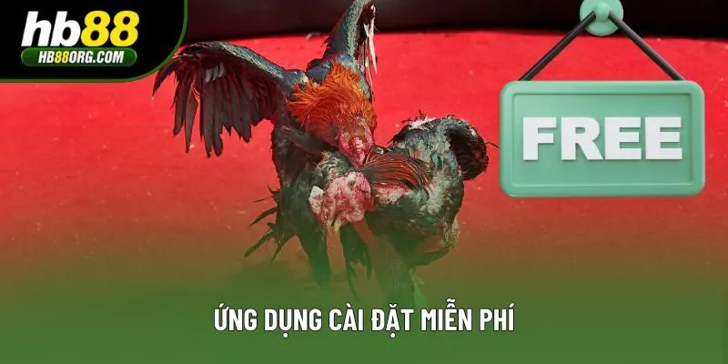 Ứng dụng cài đặt miễn phí Ứng dụng cài đặt miễn phí