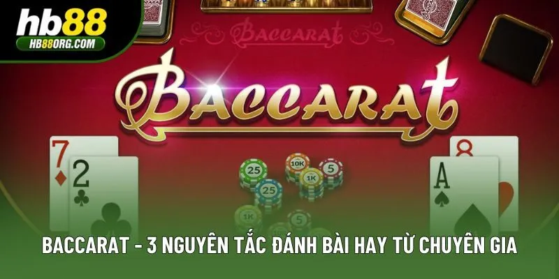 Baccarat - 3 Nguyên Tắc Đánh Bài Cực Hay Từ Chuyên Gia