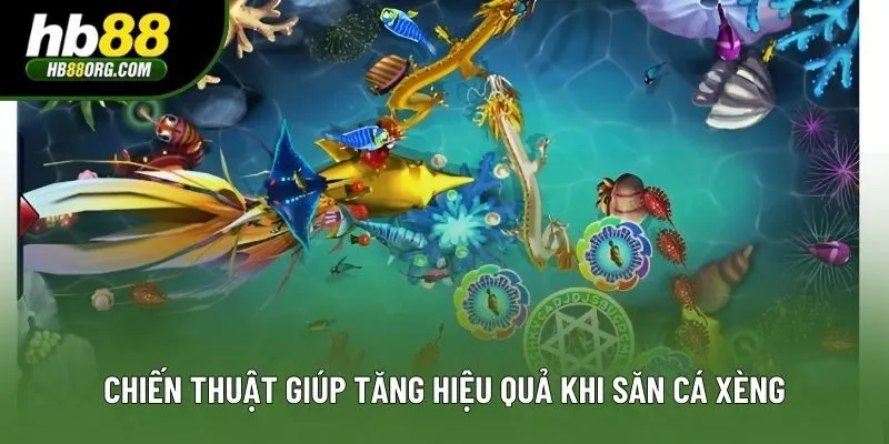 Chiến thuật giúp tăng hiệu quả khi săn cá xèng Chiến thuật giúp tăng hiệu quả khi săn cá xèng
