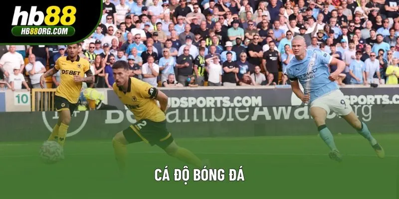 Cá độ bóng đá là gì? Những dạng cược hấp dẫn tại HB88