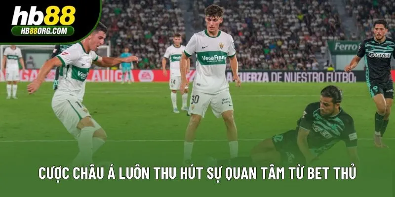 Cược châu Á luôn thu hút sự quan tâm từ bet thủ Cược châu Á luôn thu hút sự quan tâm từ bet thủ