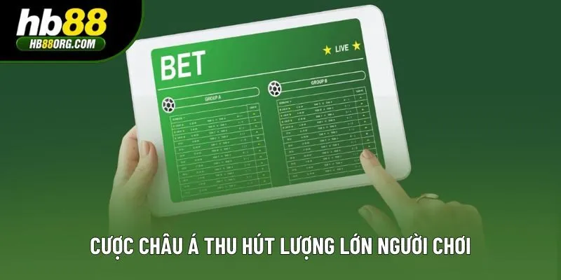 Cược châu Á thu hút lượng lớn người chơi Cược châu Á thu hút lượng lớn người chơi