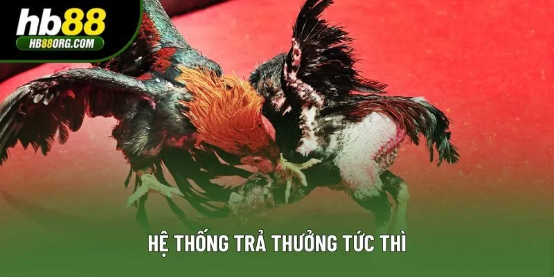 Hệ thống trả thưởng tức thì Hệ thống trả thưởng tức thì