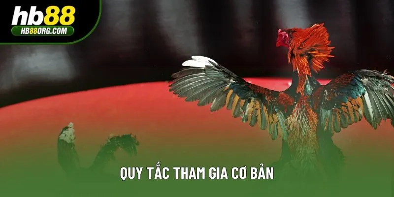 Quy tắc tham gia cơ bản Quy tắc tham gia cơ bản