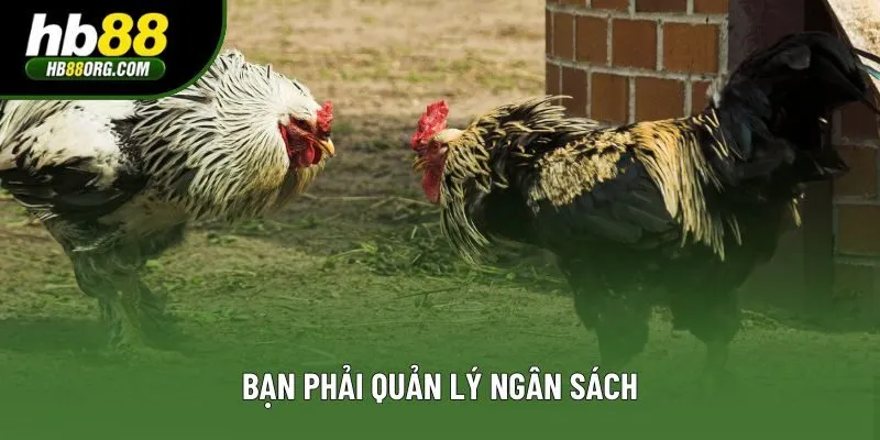 Bạn phải quản lý ngân sách