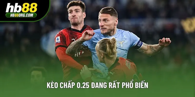 Kèo chấp 0.25 đang rất phổ biến Kèo chấp 0.25 đang rất phổ biến