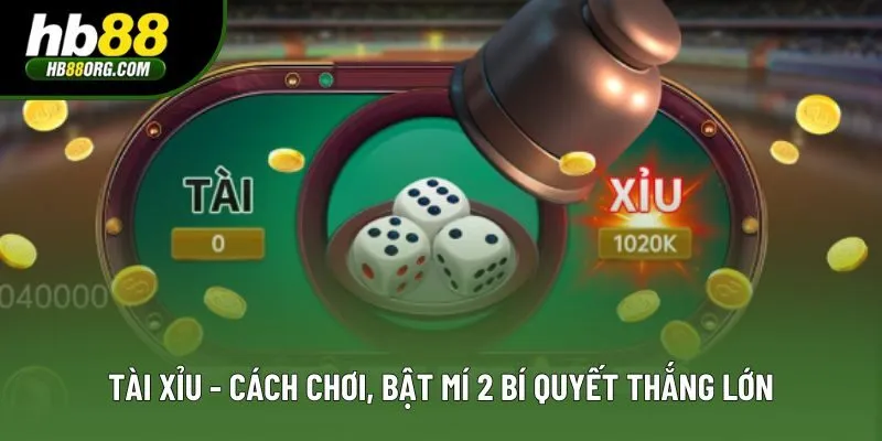Tài Xỉu - Cách Chơi, Bật Mí 2 Bí Quyết Tham Gia Thắng Lớn