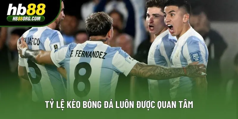 Tỷ lệ kèo bóng đá luôn được quan tâm Tỷ lệ kèo bóng đá luôn được quan tâm