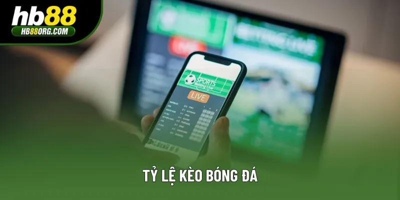 Tỷ lệ kèo bóng đá | Bật mí những mẹo chơi có tỷ lệ thắng cao