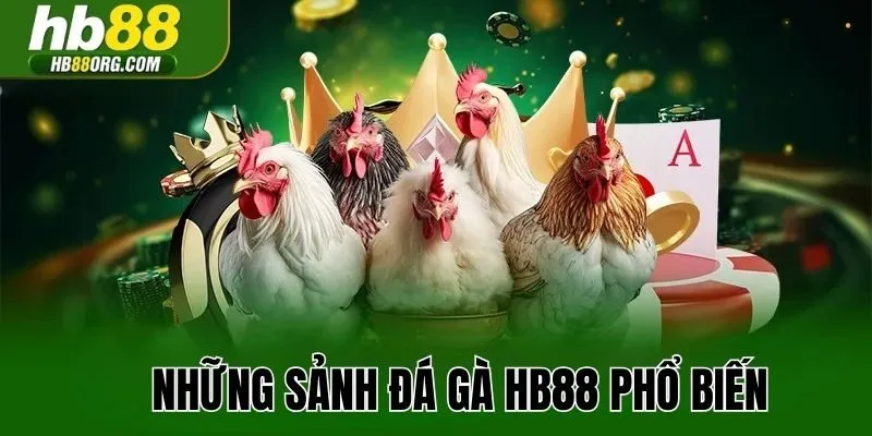 Những sảnh đá gà HB88 phổ biến